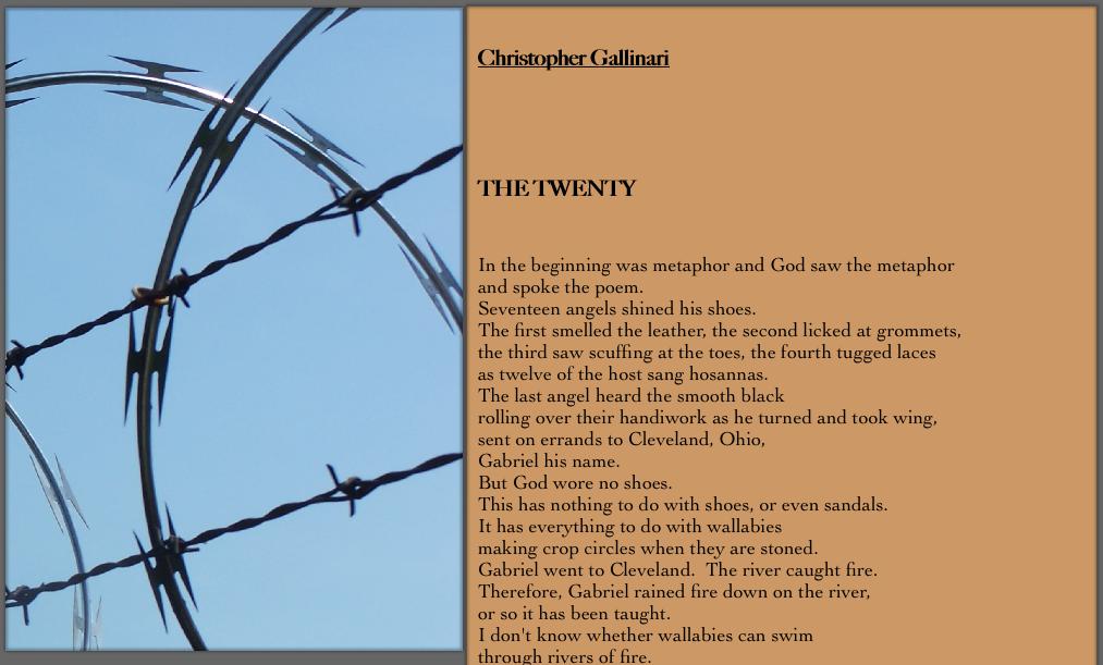 barbedwire