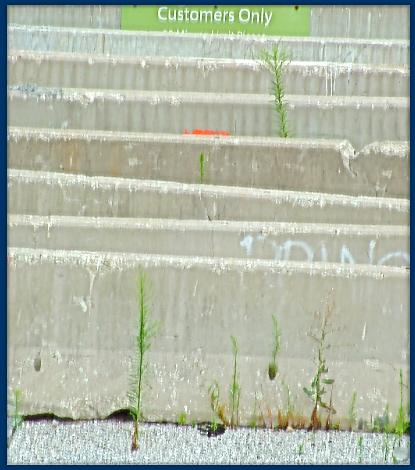 DSCF01662