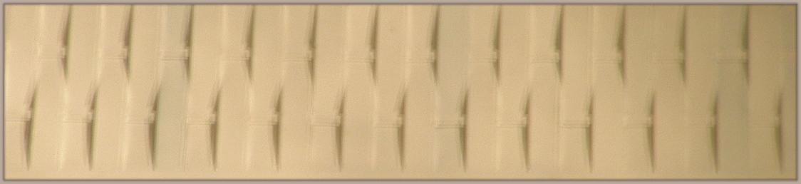 LatticeDoor