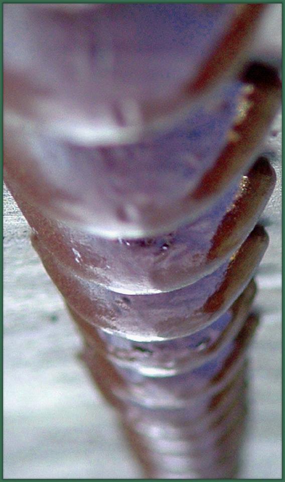 Rivets